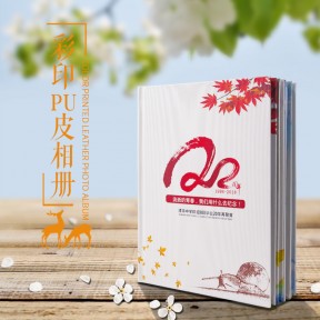 彩印皮册